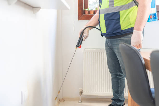 Best Affordable Pest Control Services  in View Park Windsor Hills, CA