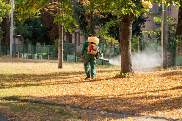 Best Bird Control  in View Park Windsor Hills, CA